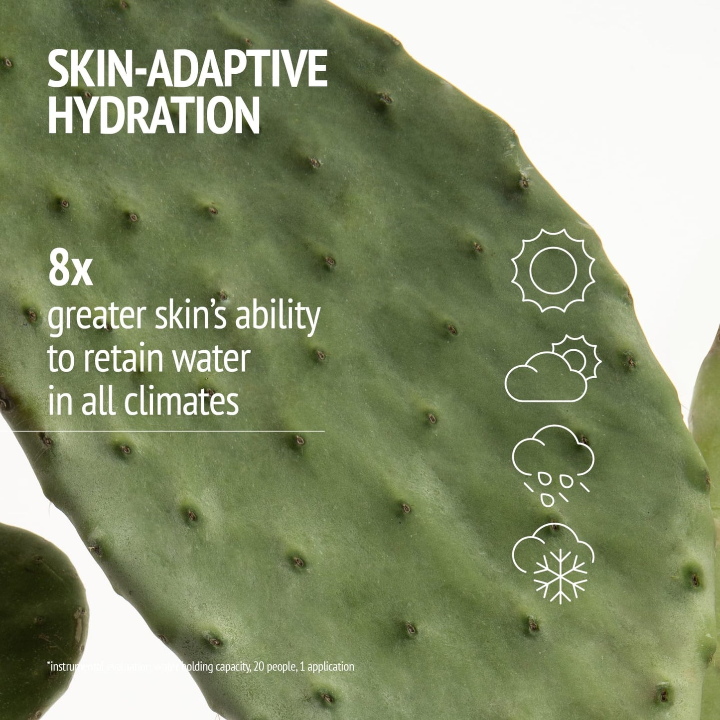 Hydramemory Light Sorbet Cream